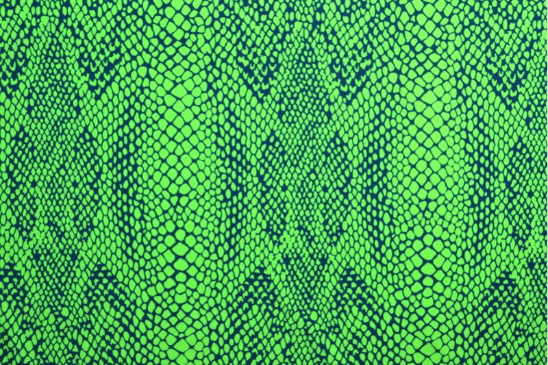 Bade-/Sportjersey - Snake – Bild 3